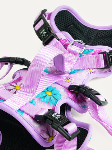 Full Coverage Dog Harness - Candy Daisy Parade