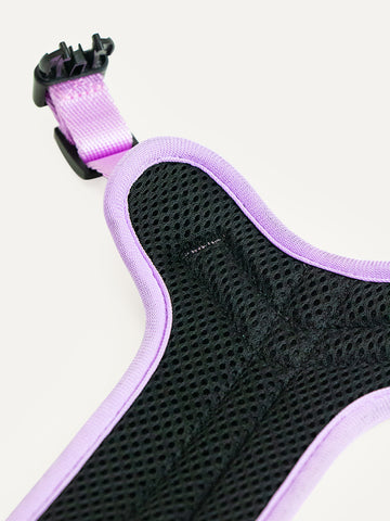 Full Coverage Dog Harness - Candy Daisy Parade