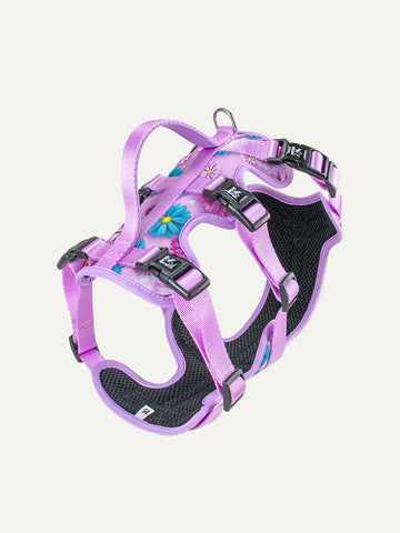 Full Coverage Dog Harness - Candy Daisy Parade