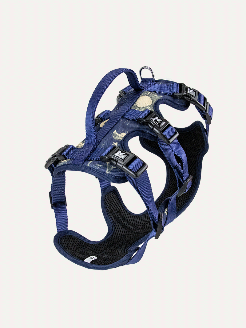 Full Coverage Dog Harness - Celestial Night Luxe