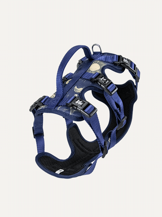 Full Coverage Dog Harness - Celestial Night Luxe