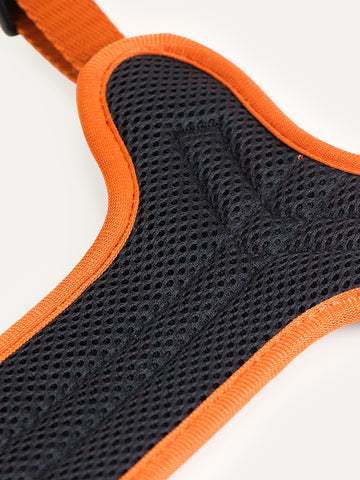 Full Coverage Dog Harness - Festive Stripe Sparkle