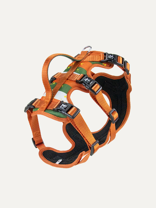 Full Coverage Dog Harness - Festive Stripe Sparkle