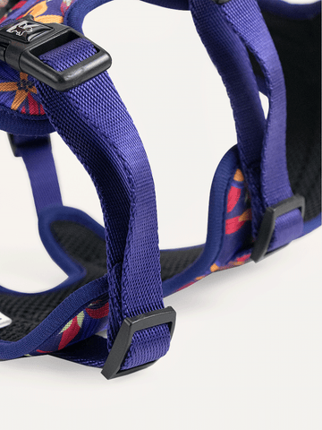 Full Coverage Dog Harness - Midnight Tropical Pop