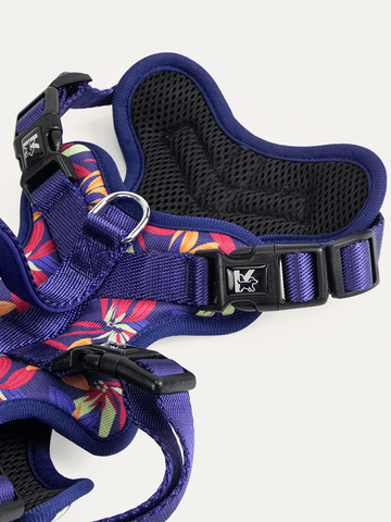 Full Coverage Dog Harness - Midnight Tropical Pop
