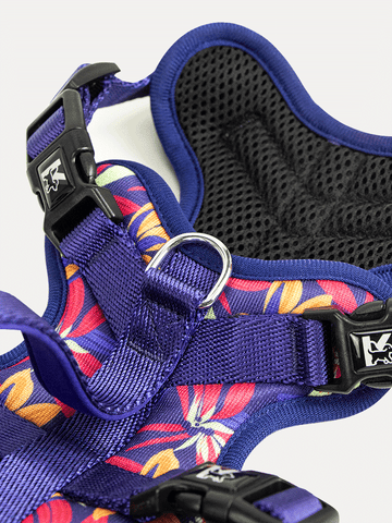 Full Coverage Dog Harness - Midnight Tropical Pop
