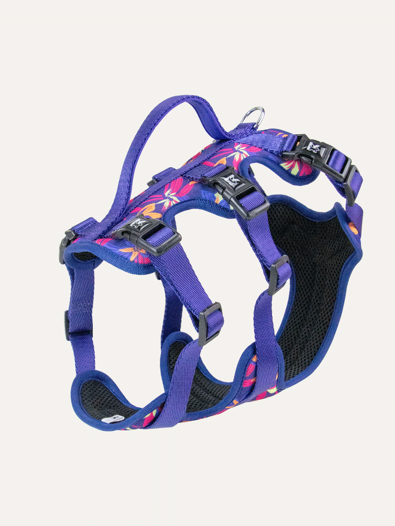 Full Coverage Dog Harness - Midnight Tropical Pop