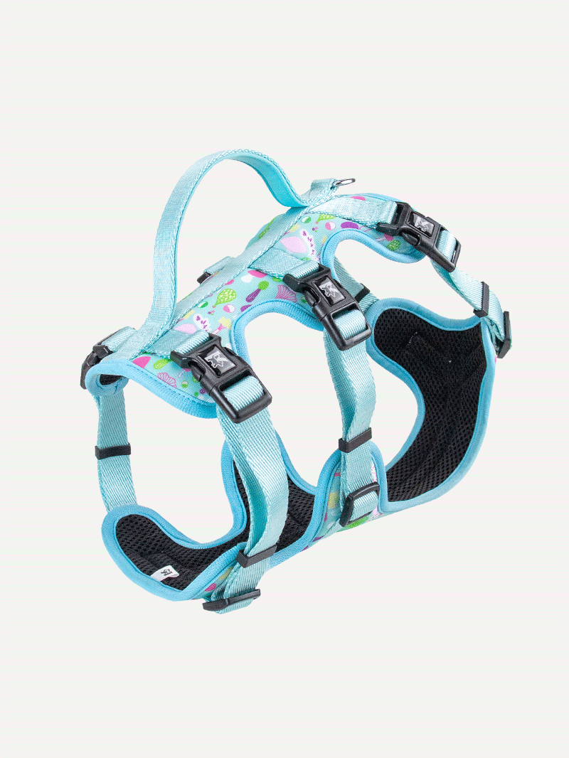 Full Coverage Dog Harness - Mushroom Dream