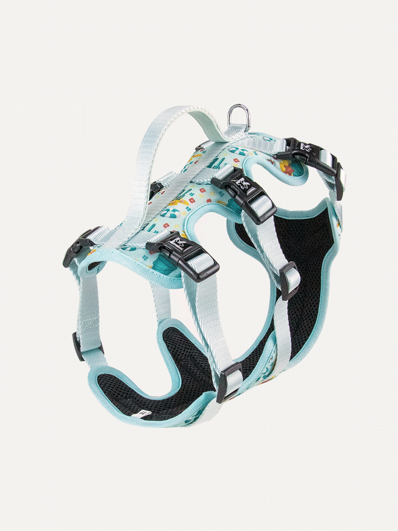 Full Coverage Dog Harness - Sunny Beach Picnic
