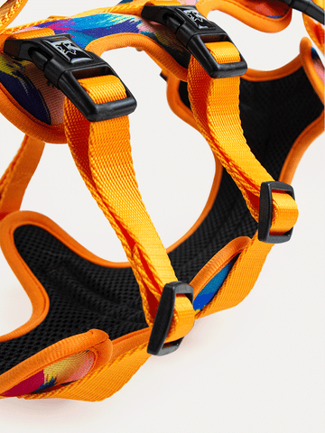 Full Coverage Dog Harness - Sunset Floral Splash