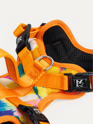 Full Coverage Dog Harness - Sunset Floral Splash