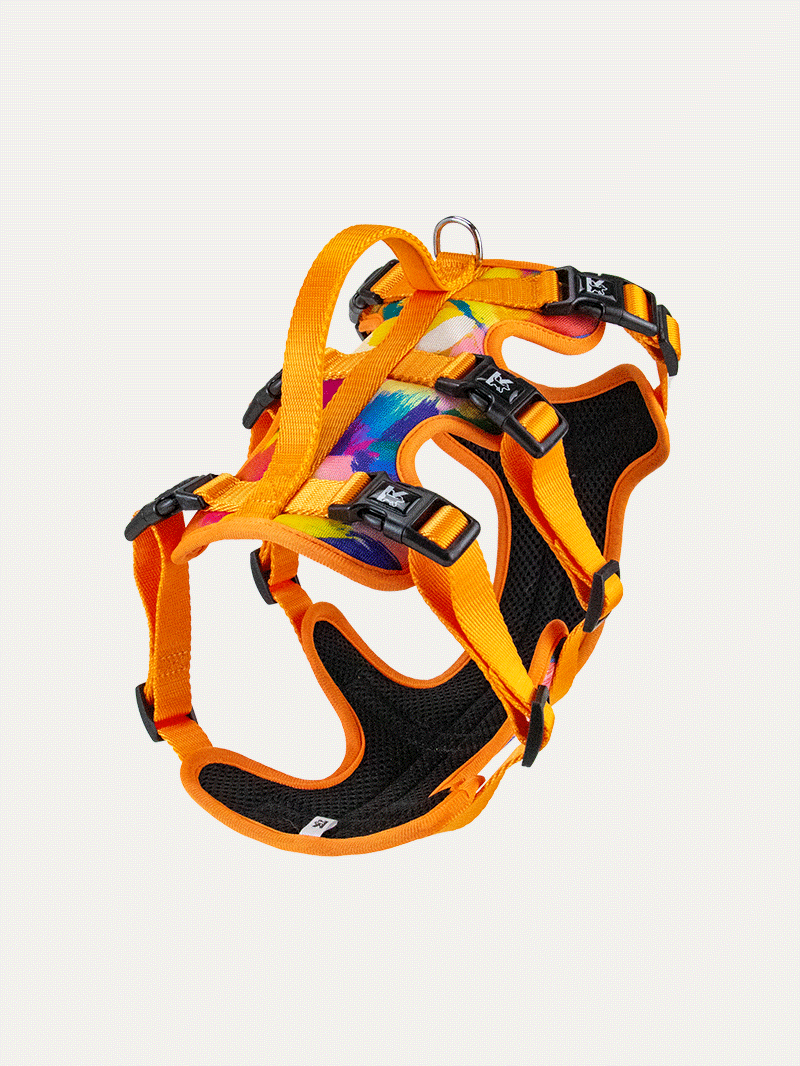 Full Coverage Dog Harness - Sunset Floral Splash