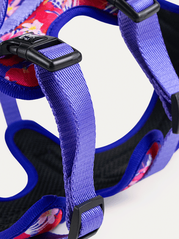 Full Coverage Dog Harness - Tropical Bloom Rush