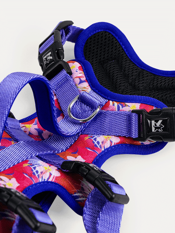 Full Coverage Dog Harness - Tropical Bloom Rush