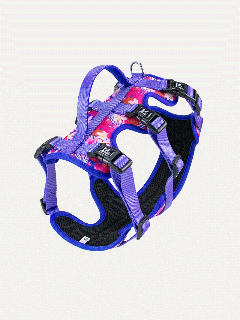 Full Coverage Dog Harness - Tropical Bloom Rush