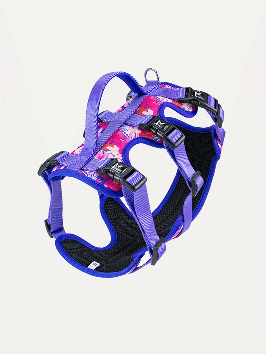 Full Coverage Dog Harness - Tropical Bloom Rush