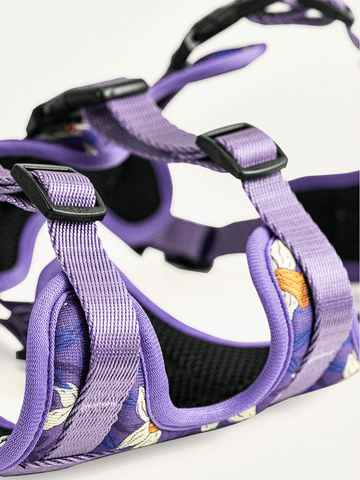Full Coverage Dog Harness - Violet Butterfly Whispers