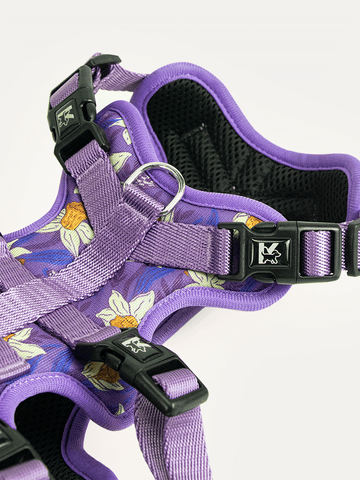 Full Coverage Dog Harness - Violet Butterfly Whispers