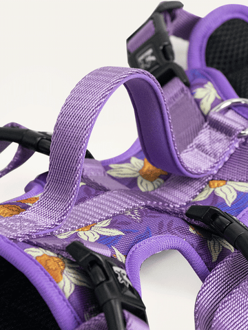 Full Coverage Dog Harness - Violet Butterfly Whispers