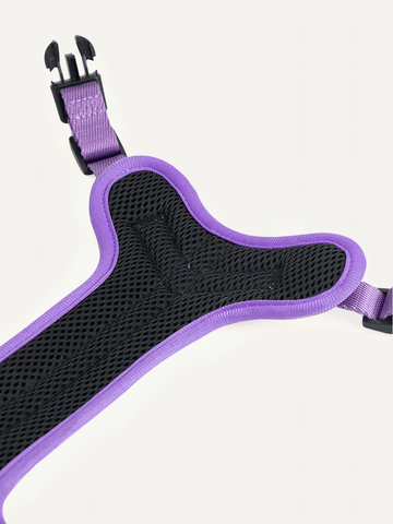 Full Coverage Dog Harness - Violet Butterfly Whispers