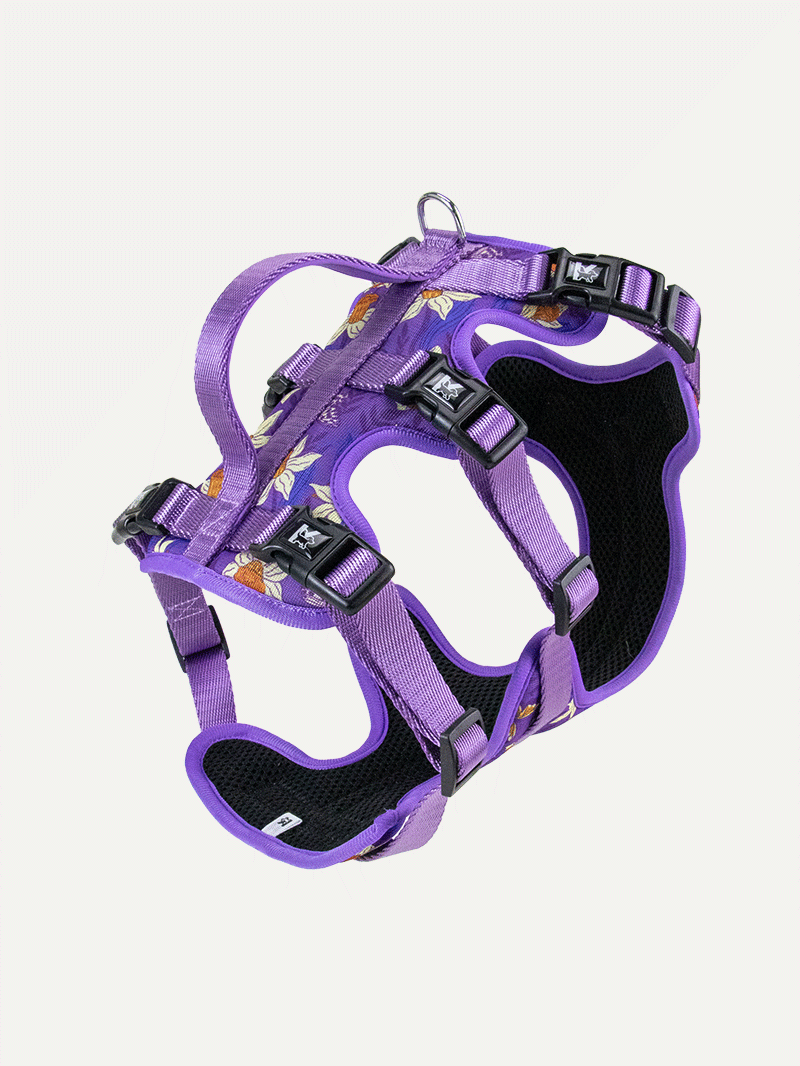 Full Coverage Dog Harness - Violet Butterfly Whispers