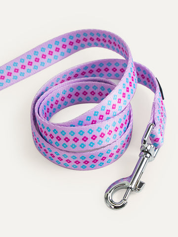 Dog Leash - Candy Daisy Parade