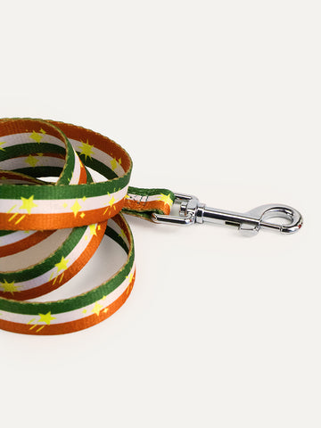 Dog Leash - Festive Stripe Sparkle
