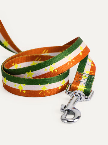 Dog Leash - Festive Stripe Sparkle
