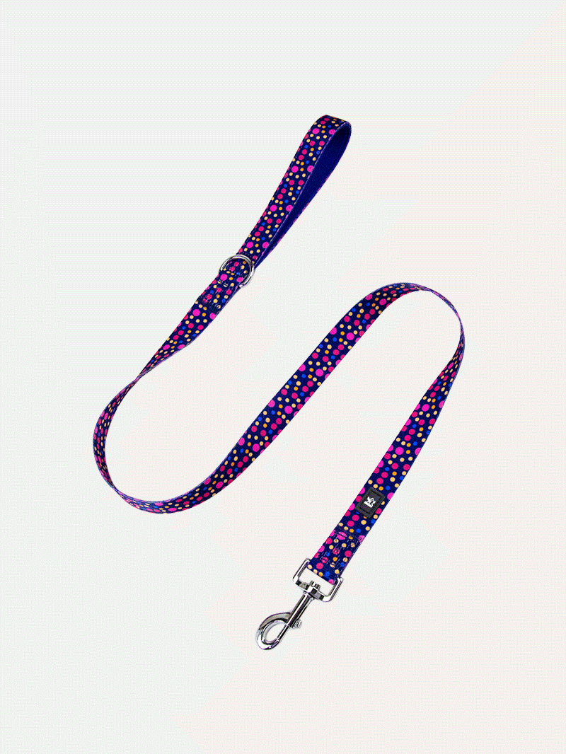 Dog Leash - Midnight Tropical Pop