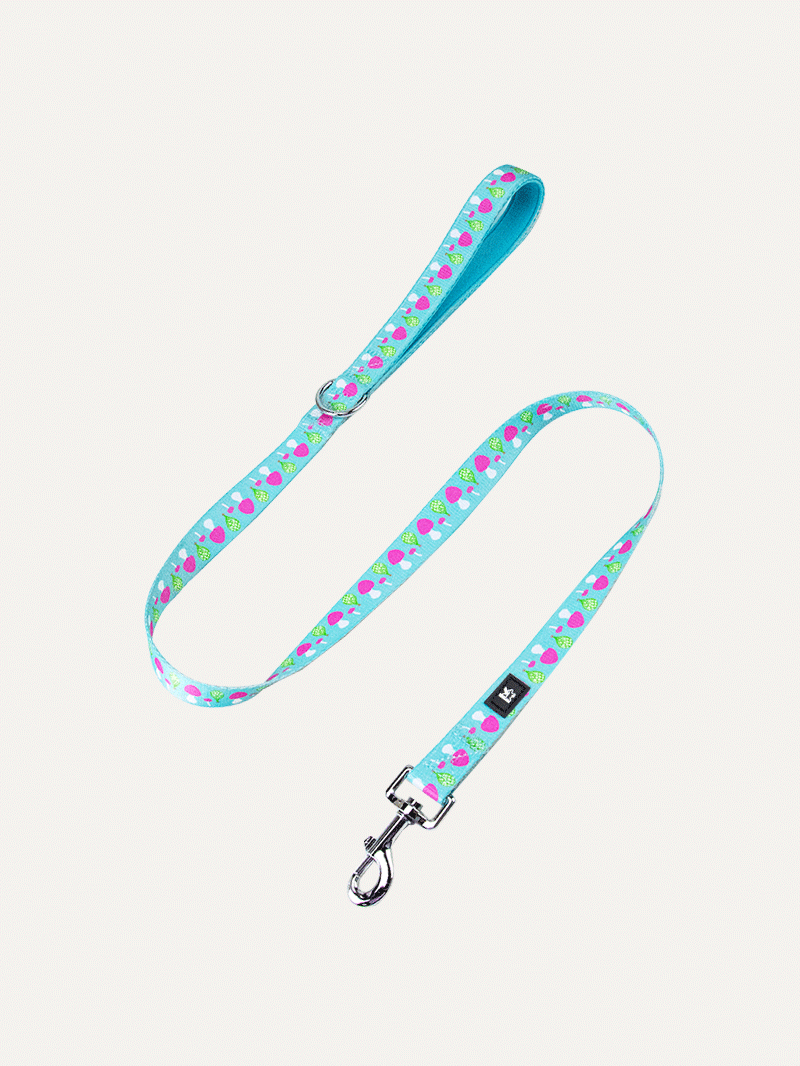 Dog Leash - Mushroom Dream