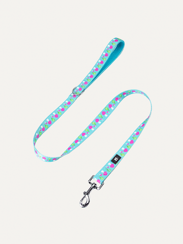 Dog Leash - Mushroom Dream