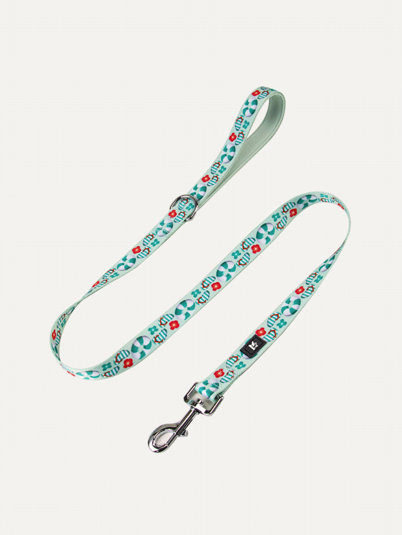 Dog Leash - Sunny Beach Picnic