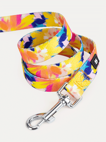 Dog Leash - Sunset Floral Splash