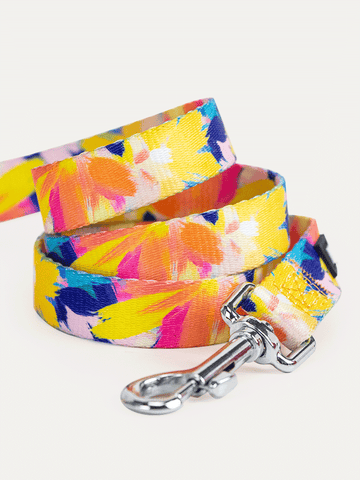 Dog Leash - Sunset Floral Splash