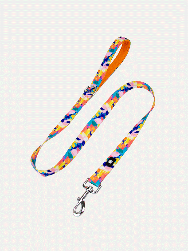 Dog Leash - Sunset Floral Splash