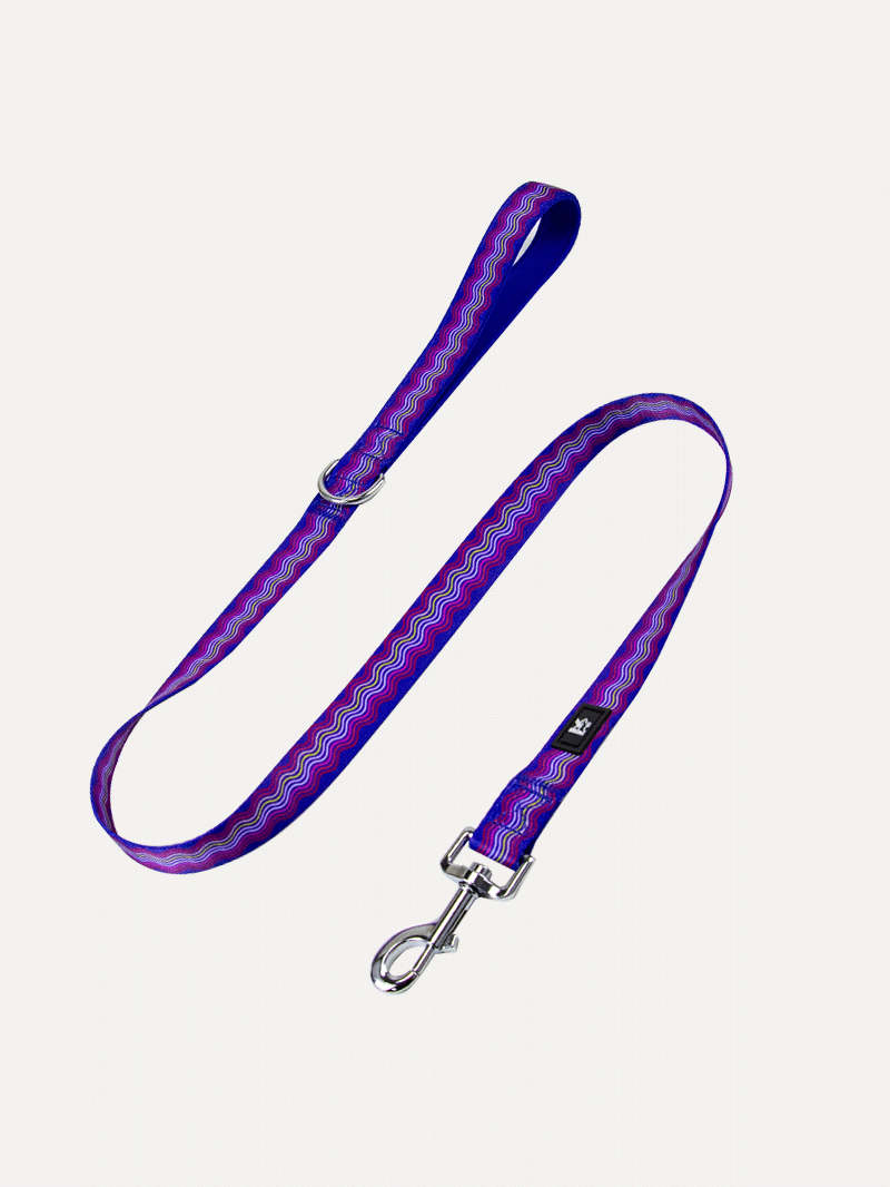 Dog Leash - Tropical Bloom Rush