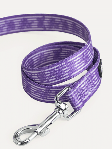 Dog Leash - Violet Butterfly Whispers