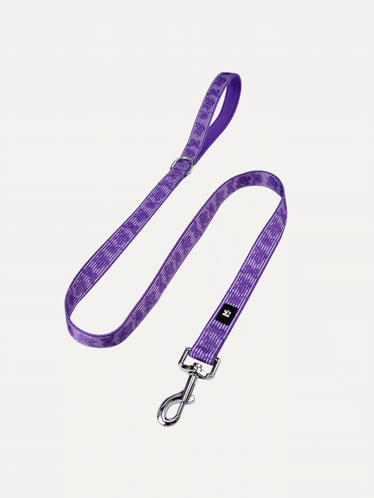 Dog Leash - Violet Butterfly Whispers