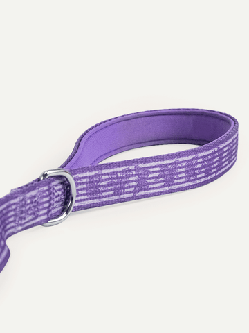 Dog Leash - Violet Butterfly Whispers
