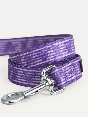 Dog Leash - Violet Butterfly Whispers