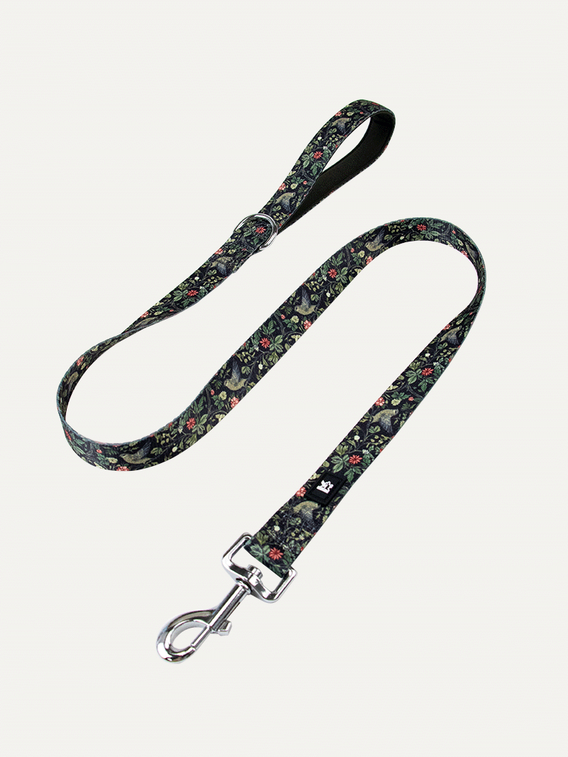 Dog Leash - Mystic Garden Tapestry