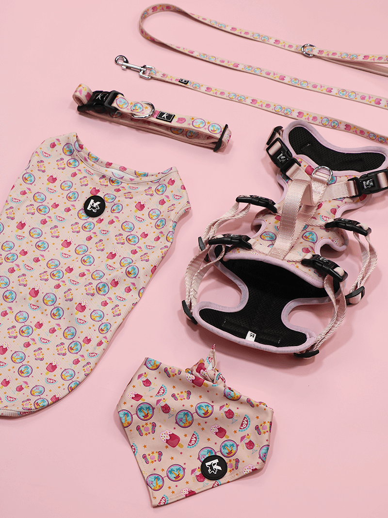 サマースイートカーニバルコンボ